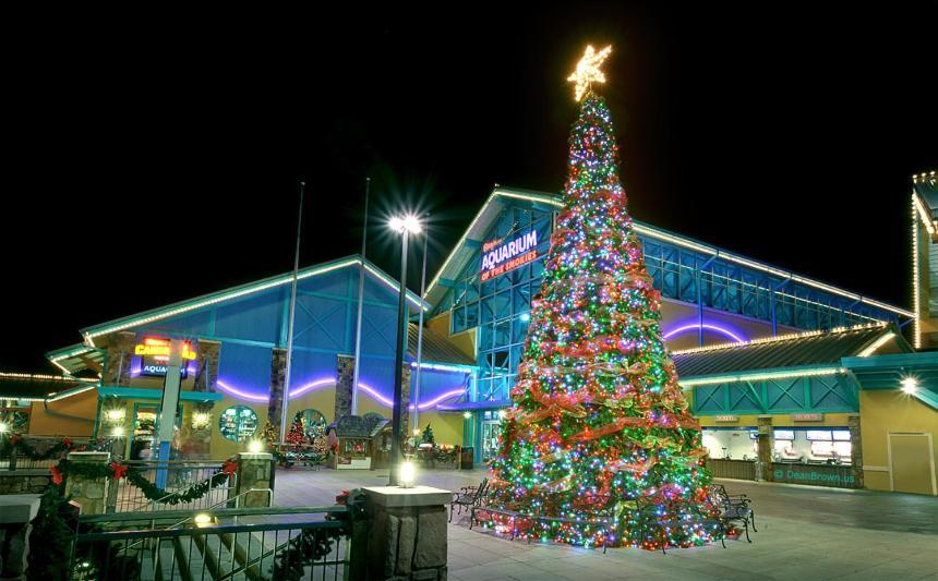 Knotty & Nice Holiday Home Gatlinburg Esterno foto