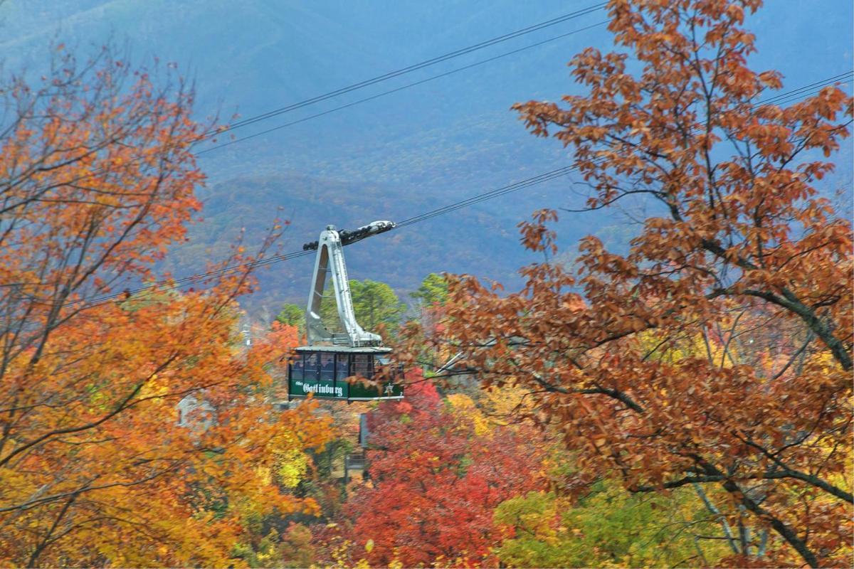 Knotty & Nice Holiday Home Gatlinburg Esterno foto